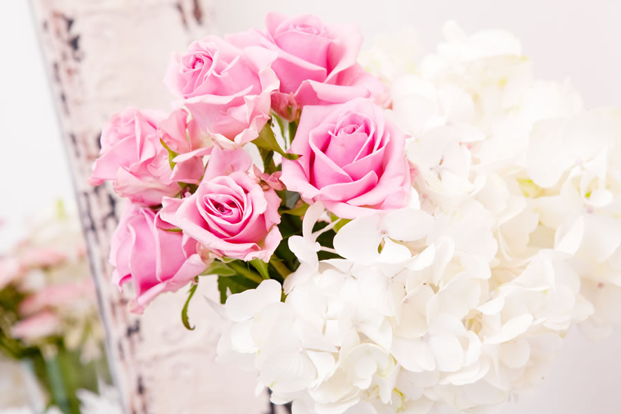 ピンクのバラと白いバラ